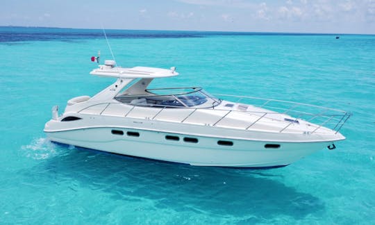 Yacht à moteur Dolce Vita de 43 pieds à Playa Mujeres, Quintana Roo