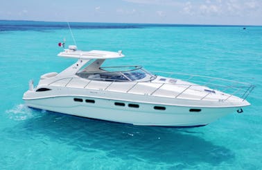 Dolce Vita 43 ft Power Yacht Cancun, Quintana Roo