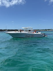 Passeio pelas 4 ilhas da Ilha Rosa, nade com porcos, tartarugas e mergulhe com snorkel nos recifes de coral