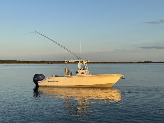 Croisières et excursions dans le port du Lowcountry avec console centrale Nauticstar de 25 pouces