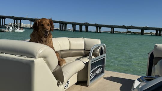 Awesome Pontoon for Family and Bachelorettes