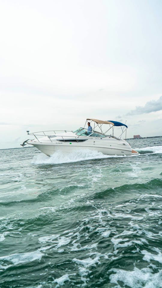 ALL INCLUDED: Explore Miami on a SUNDANCER CHAP 30' Boat Rental in Miami Beach!