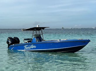 Nassau : excursion privée en bateau - cochons nageant, tortues, plongée avec tuba et plage 