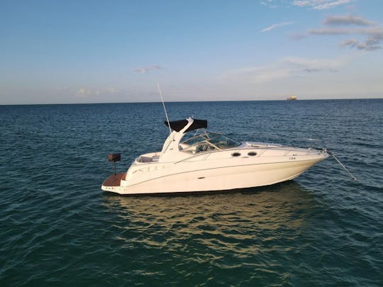 SEA RAY SUNDANCER 37