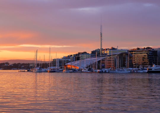 Cruzeiro turístico de 2 horas em Oslofjord