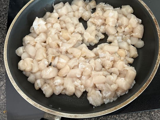 Scalloping Season July 1 through Aug 6