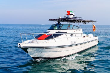 31 Feet Silver craft Motor Boat in Dubai KSY