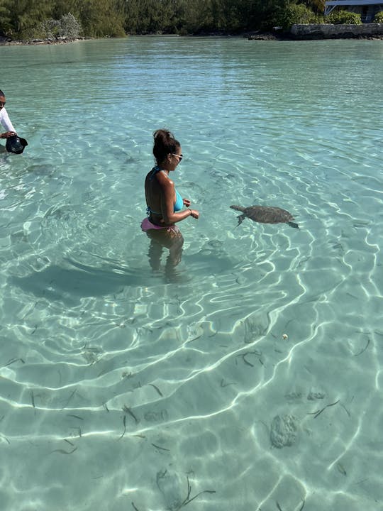 Excursão à Ilha do Porto e Eleuthera 