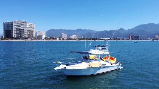 Amusement et aventure sur le yacht Luhrs 32 avec un capitaine professionnel