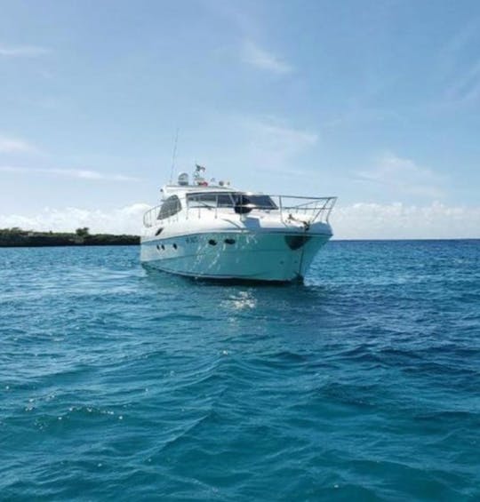 🏆 Viaje privado a la isla Saona y a la piscina natural en este lujoso yate de 56 pies 🏆