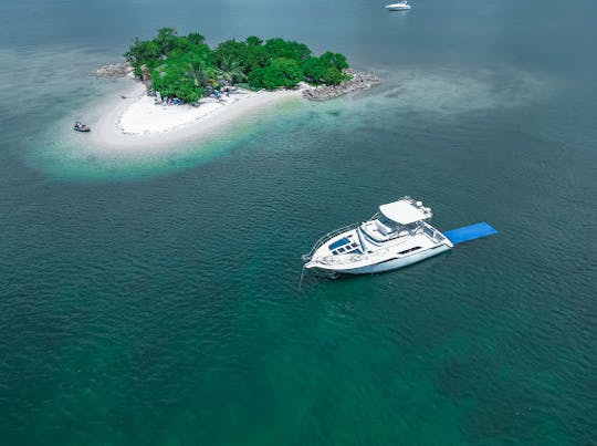 Flybridge Cruisers Express de 50 pieds à louer dans la magnifique ville de Miami !