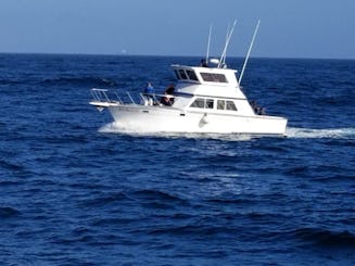 Barco de pesca esportiva de 38 pés para 8 pessoas na Baja California!