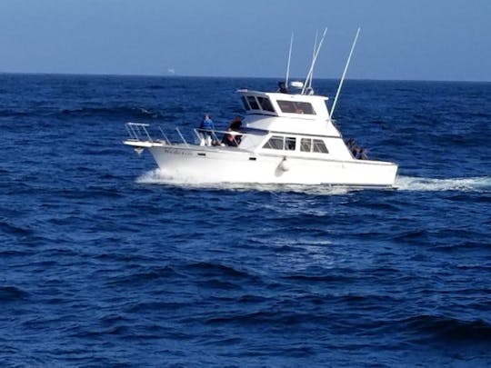 38ft Sport fishing Boat for 8 people in Baja California!