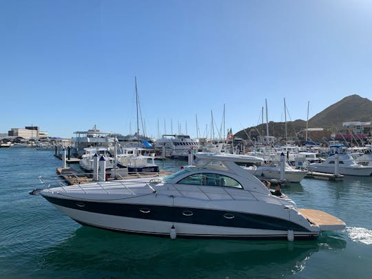 Yacht à moteur Maxum Cabo de 45 pieds avec équipage