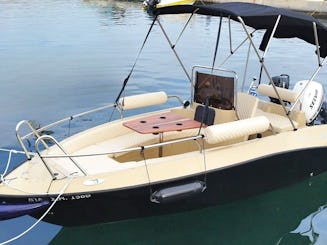 Alquiler de botes sin licencia | Cobra Powerboat de 16 pies