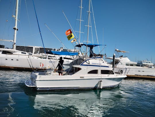 Fishing Charter in Cabo San Lucas, Baja California Sur, Mexico