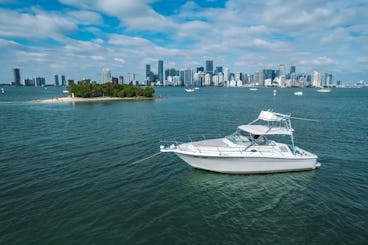 SEARAY 38’ YACHT FOR RENT 1 HOUR FREE EVERY DAY!!