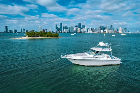 SEARAY 38’ YACHT FOR RENT 1 HOUR FREE EVERY DAY!!