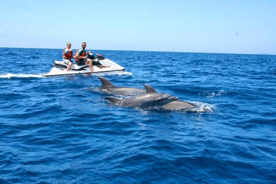 Jetski dolphin  adventure Curise Cape Coral/Fort Myers Florida