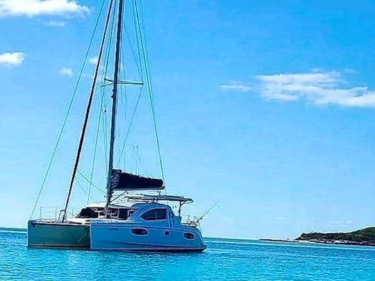 Real catamaran SAILING & exclusive Water Whispering experience in Samaná Bay
