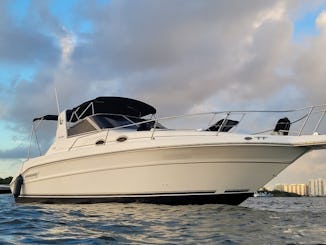 Barco Sea Ray Sundancer capitaneado de 33 pies  