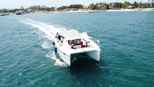 46ft Power Catamaran Private Charter for up to 45 People in Cancún 