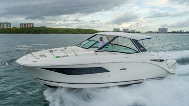 Sea Ray Sundancer, “A Bela dos Mares” 32'