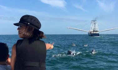 Dolphin Tours en San Agustín