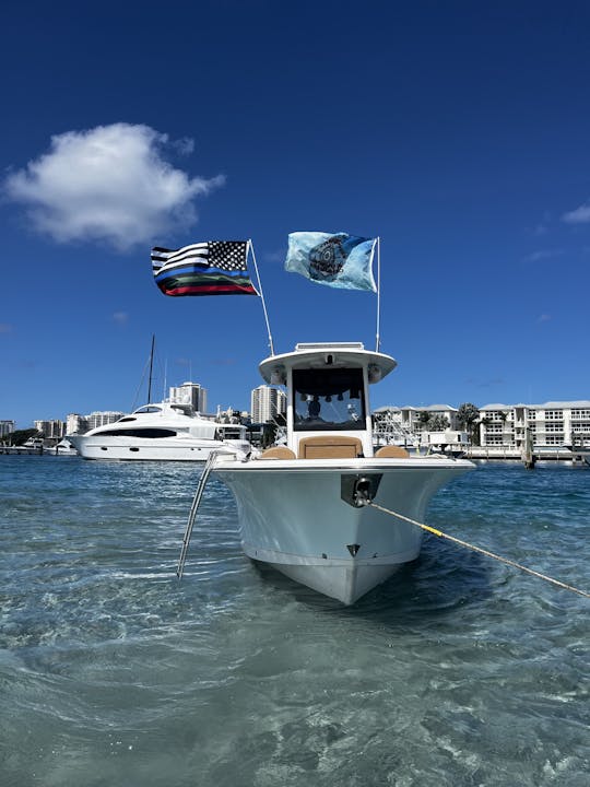 Bateau de fête décoré