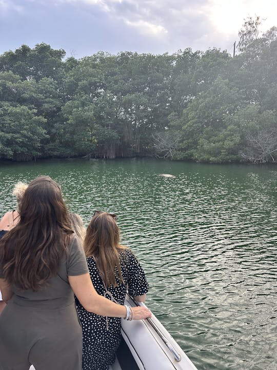 Wildlife Adventures: recorrido ecológico por Miami