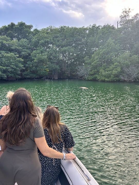 Wildlife Adventures: Miami's Eco Tour