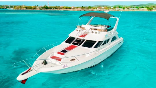 The Midnight Sun,  Affordable Luxury  motor yacht 
