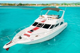 The Midnight Sun,  Affordable Luxury  motor yacht 