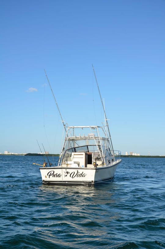 YATE DE PESCA DEPORTIVA BETRAM DE 35 PIES EN CANCÚN