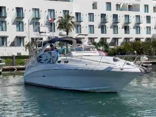 Sea Ray Sundancer de 37 pies, perfecto para tu fiesta 🎉