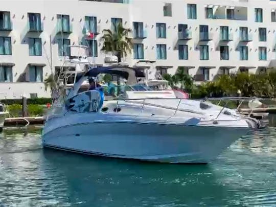 37Ft Sea Ray Sundancer Perfect for your Party 🎉