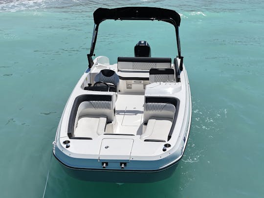 Big Grey, our Gorgeous 23' Bayliner Deck Boat with sports tower!