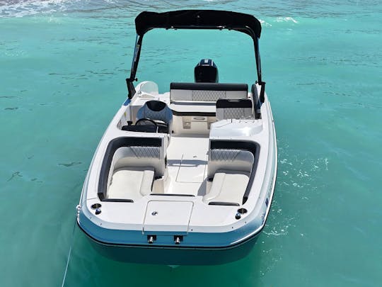 Big Grey, our Gorgeous 23' Bayliner Deck Boat with sports tower!