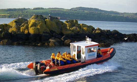 Guided Wildlife Watching Tour On 35 feet High Speed RIB in Edinburgh, UK