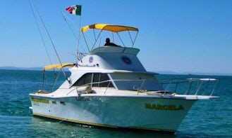 28' Cabin Cruiser Charter in La Paz