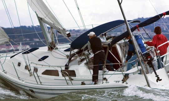 42 Sailing Monohull Tours in Sausalito