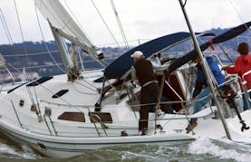 42 Sailing Monohull Tours in Sausalito