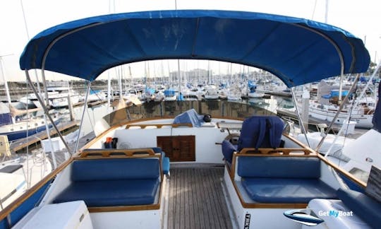 Charter 40' Trawler Hershine BellBuoy in San Diego, California