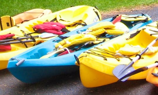 Single and Double Kayak Rentals in Newport Oregon
