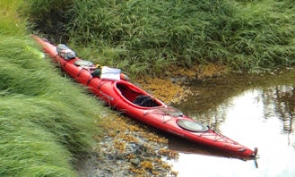 Sea Kayaks Trip in Anchorage, Alaska