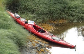 Sea Kayaks Trip in Anchorage, Alaska