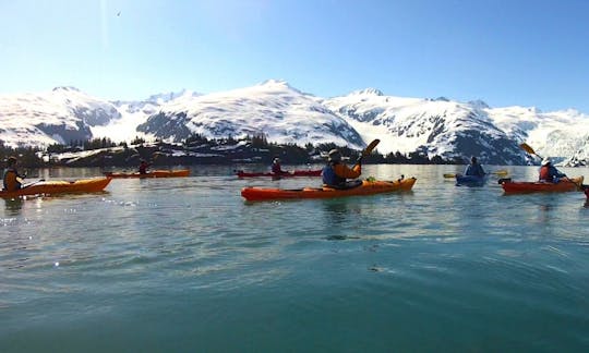 アラスカ州アンカレッジでのシーカヤック旅行