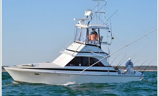 Fishing Charter On 35' Sports Fisherman Yacht In Manteo, North Carolina