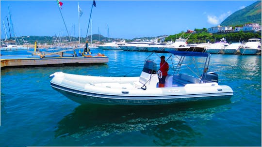 Rigid Inflatable Boat Predator 7.3m 24ft for rent in Forio, Ischia