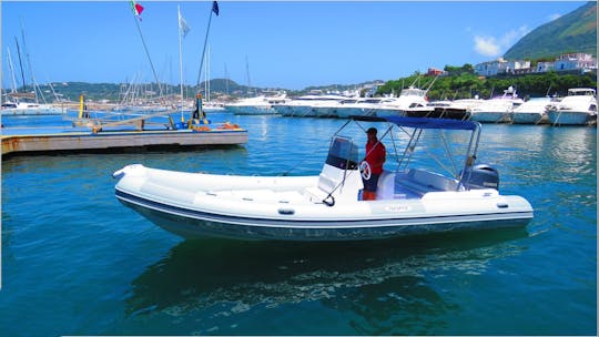 Rigid Inflatable Boat Predator 7.3m 24ft for rent in Forio, Ischia